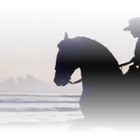 Caballos Espaoles en el mar