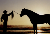 Caballos Espaoles en el mar-1