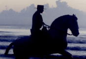 Caballos Espaoles en el mar-4