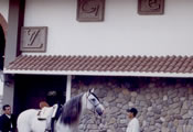 Nuestro Rancho 5